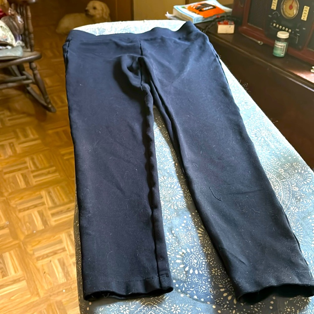 Loft Navy blue knit pants
